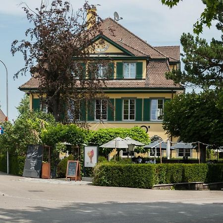 Guest House Dieci Allo Zoo Zürich Exteriör bild